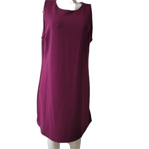 Ladies dress